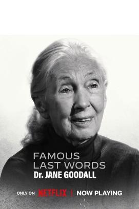 Famous Last Words - Staffel 1 *English*