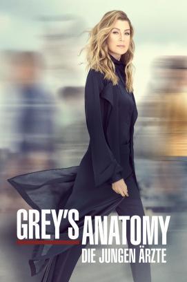 Grey's Anatomy - Staffel 22