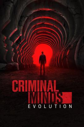 Criminal Minds - Staffel 19
